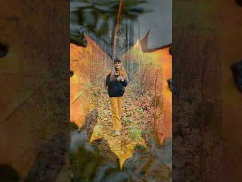 Я ПРОСТО ГОСТЬ #душевныепесни #music #светланакопылова