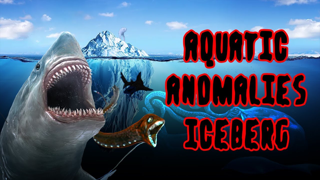 The Aquatic Anomalies Iceberg Explained 🌊