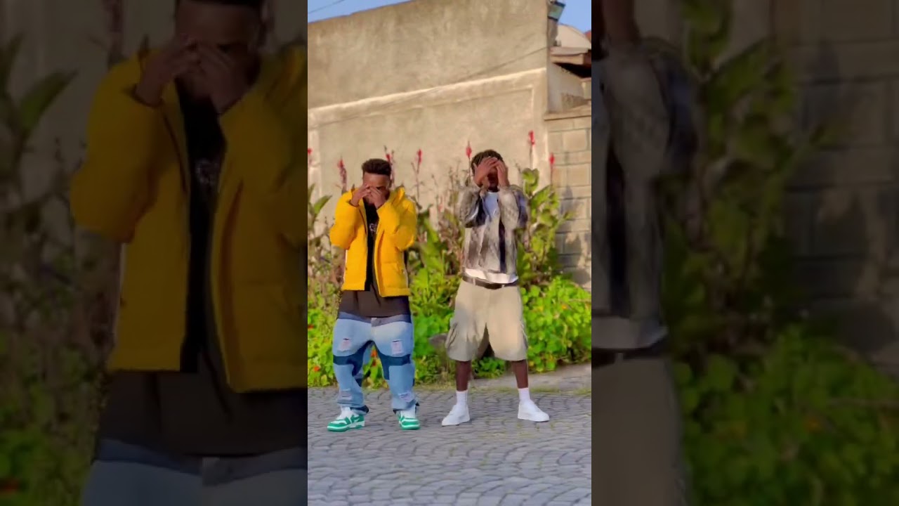 ሁሌ... ያርድ ኔጉ: የታወቀ ሙዚቃ እና ሙዚቃዊ ታሪክ 🎶