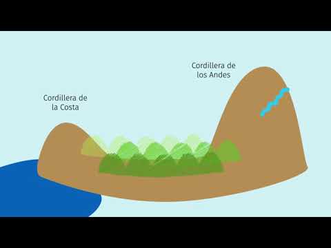 5° básico historia y geografía Norte Chico