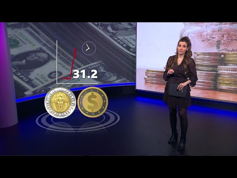 سعر الدولار مقابل الجنيه.. كيف تندر المصريون على تهاوي عملتهم أمام الدولار؟