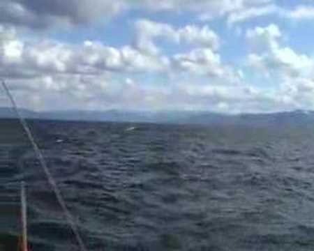 Olsen 31 spring sailing