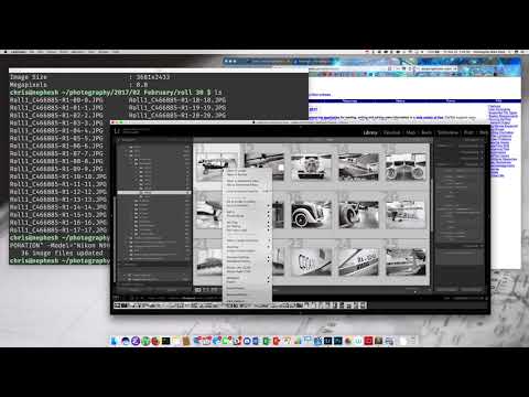 film camera metadata with Lightroom and exiftool
