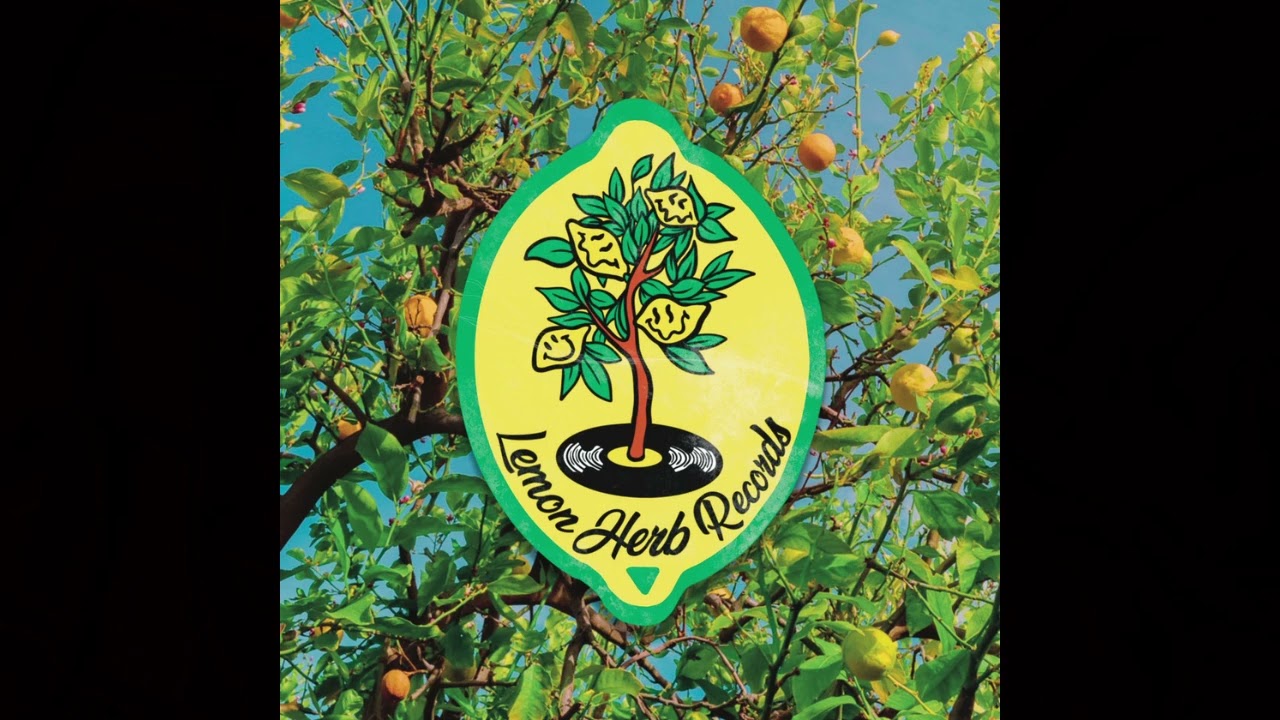 KBY - Screenslaver [LHR012] | New Electronic EP from Lemon Herb Records 🎶