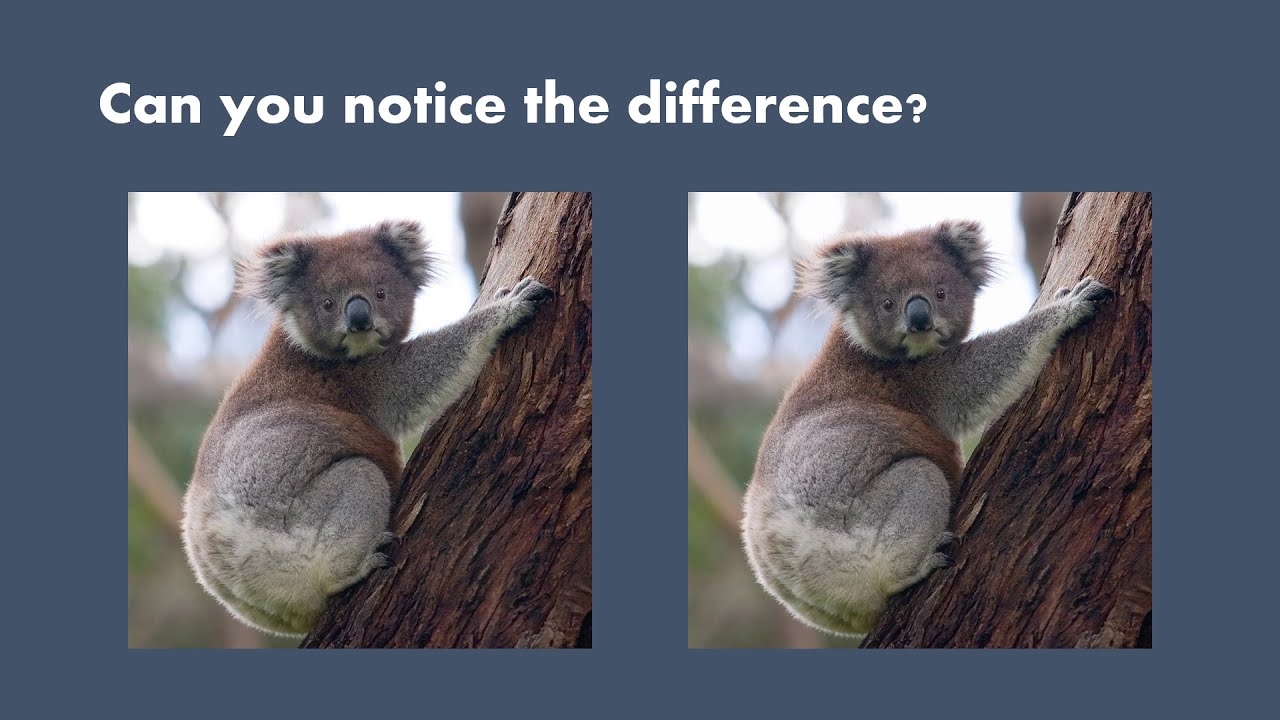 Enhancing Data Security with Image Steganography Techniques 🔒