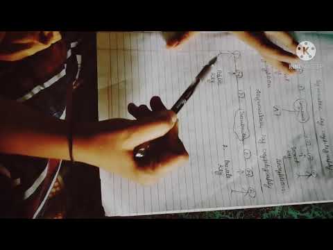 What is symmetric key & asymmetric key ?(Network SECURITY)