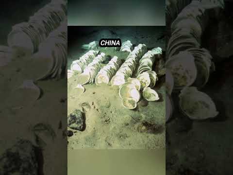 Amazing Titanic Wreck Items You Have To See