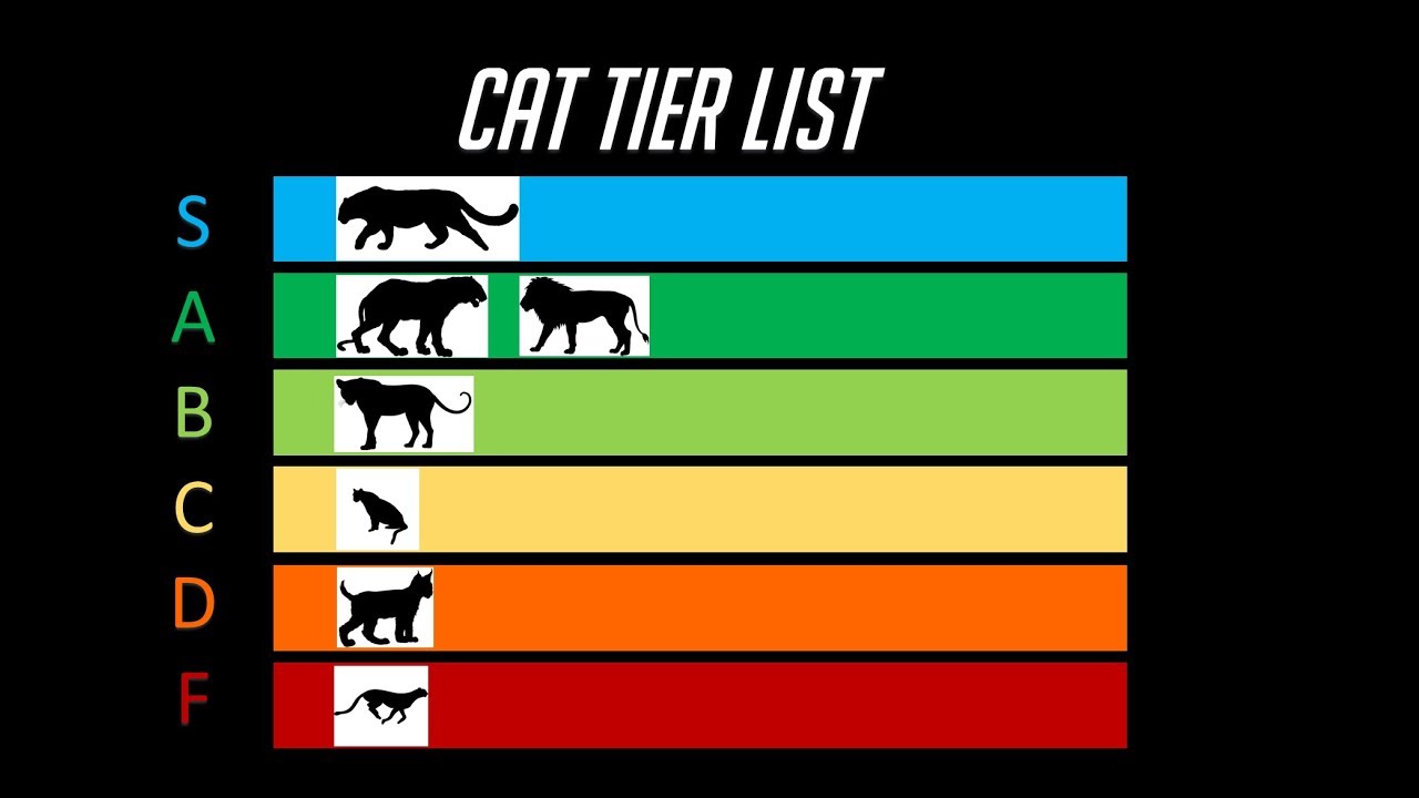 The Cat Tier List ๐ฑ: Top Classes Ranked