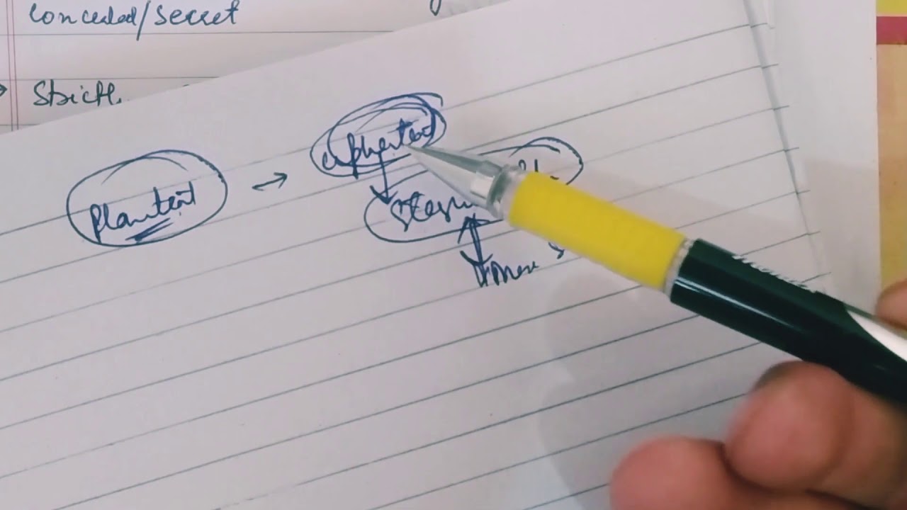 Steganography vs Cryptography: Key Differences Explained 🔐