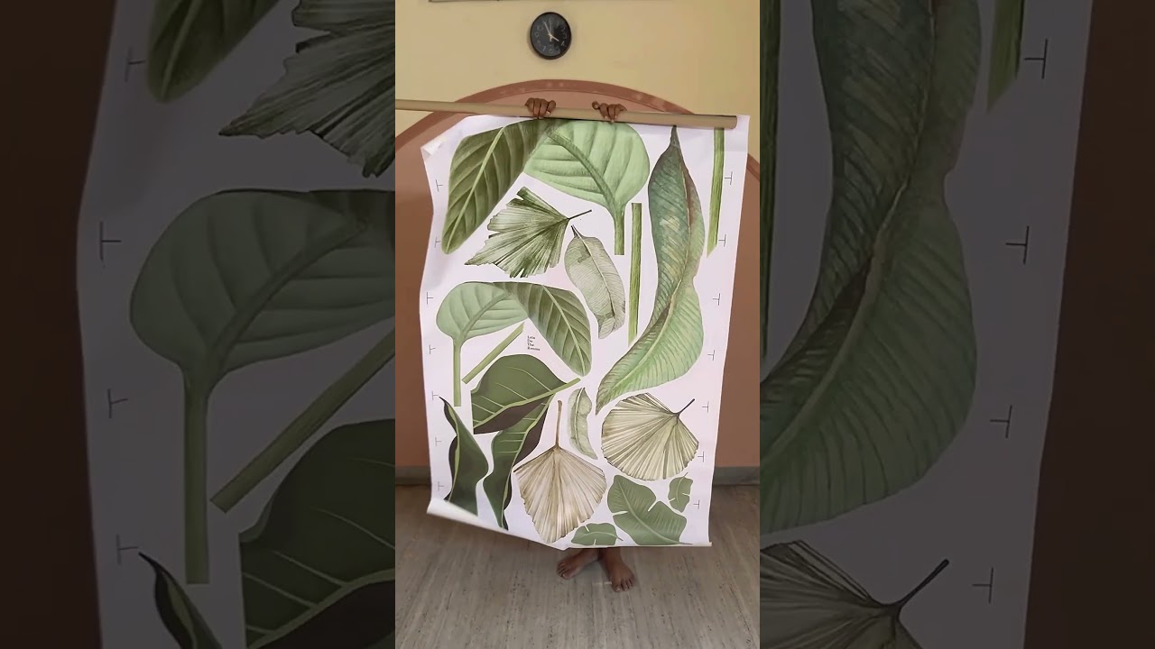 Wall Decor Under ₹2000: Would You Try? 🖼️