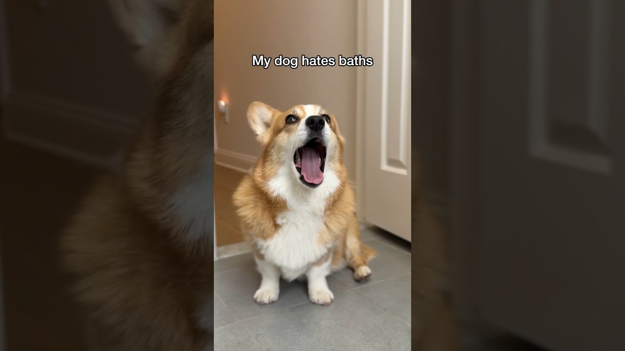 A Slightly Dramatic Person