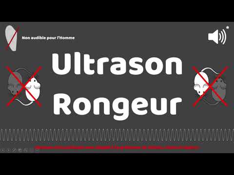 Ultrason efficace contre rats et souris 🐭 (1h)
