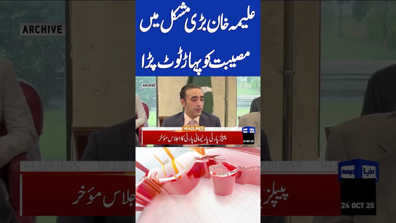 Aleema Khan Faces Legal Challenges & Major Verdict | TLP Banned & PTI News Update 📰