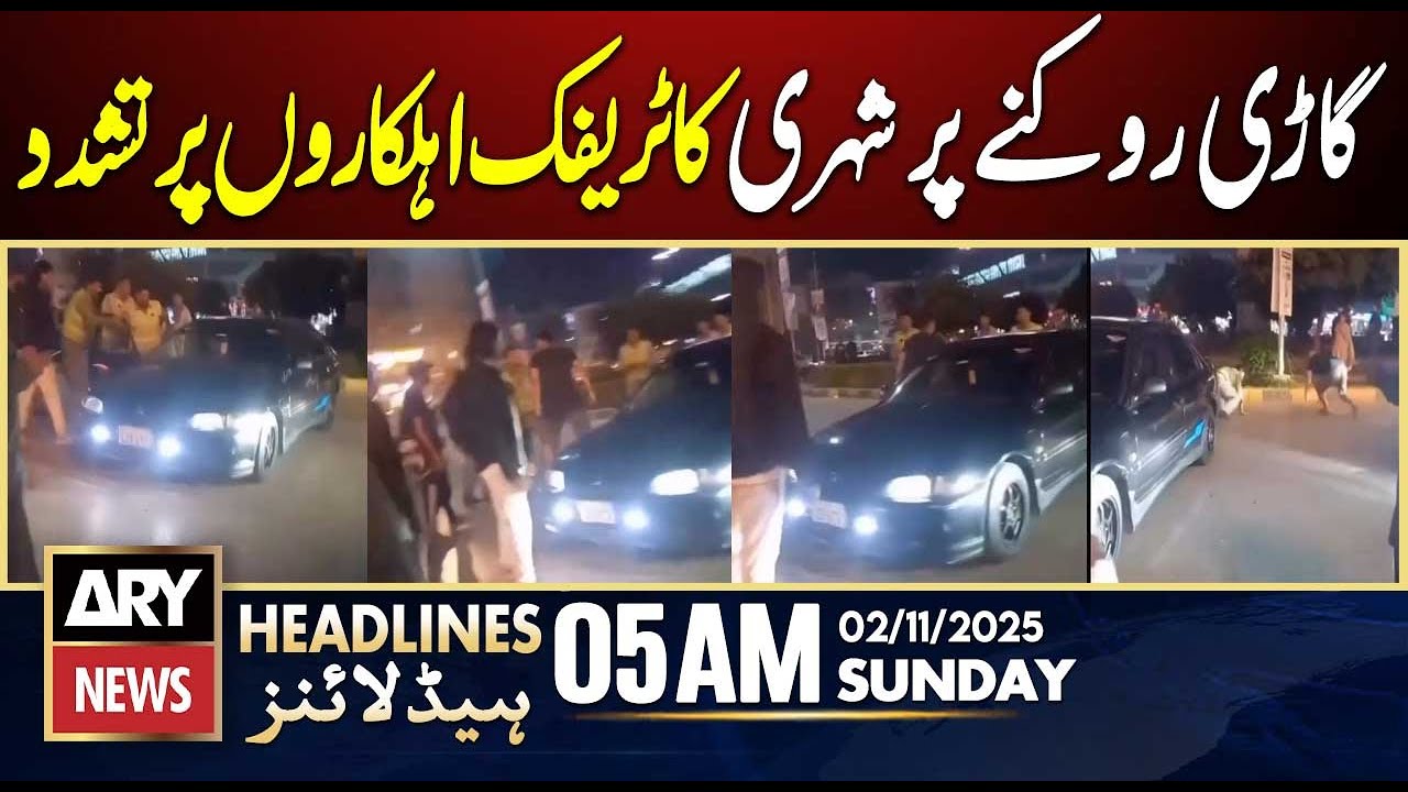 Citizen Attacks Traffic Officers During Vehicle Stop π