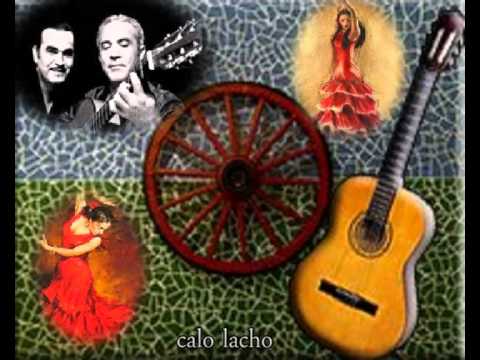 Los Banis Gitana Te Enamoraste 🎸