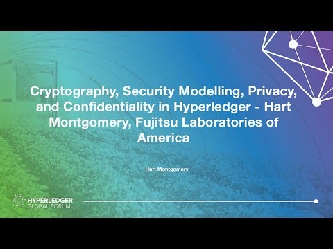 Cryptography, Security Modelling, Privacy, and Confidentiality in Hyperledger