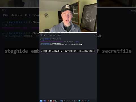 How to Hide Secret Data in Images (Steganography)