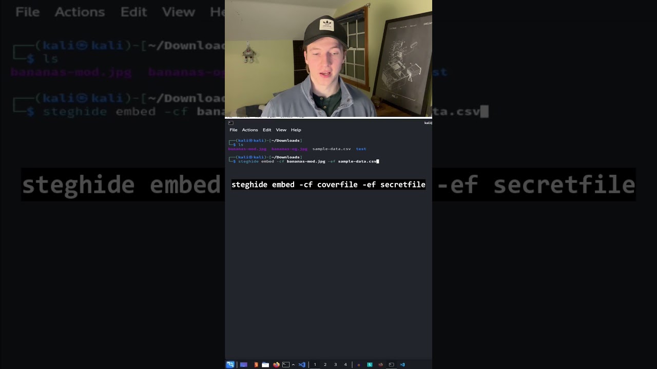 Master Steganography: Hide Secret Data in Images Easily 🖼️