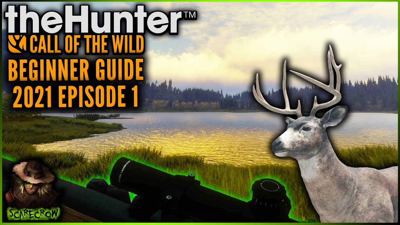 Beginner's Guide to TheHunter: Call of the Wild 🎯