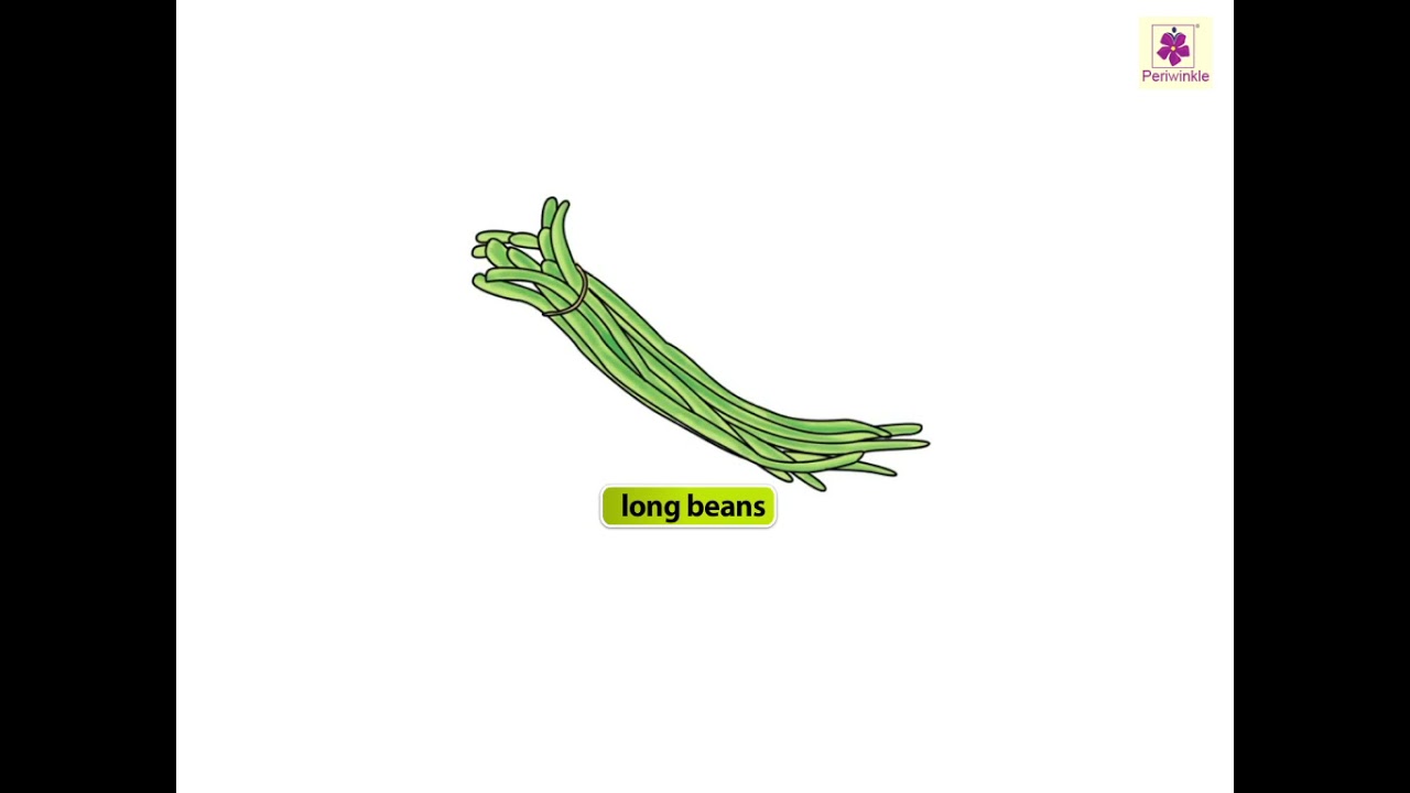 Vegetables | Now You Know Book B 🥕