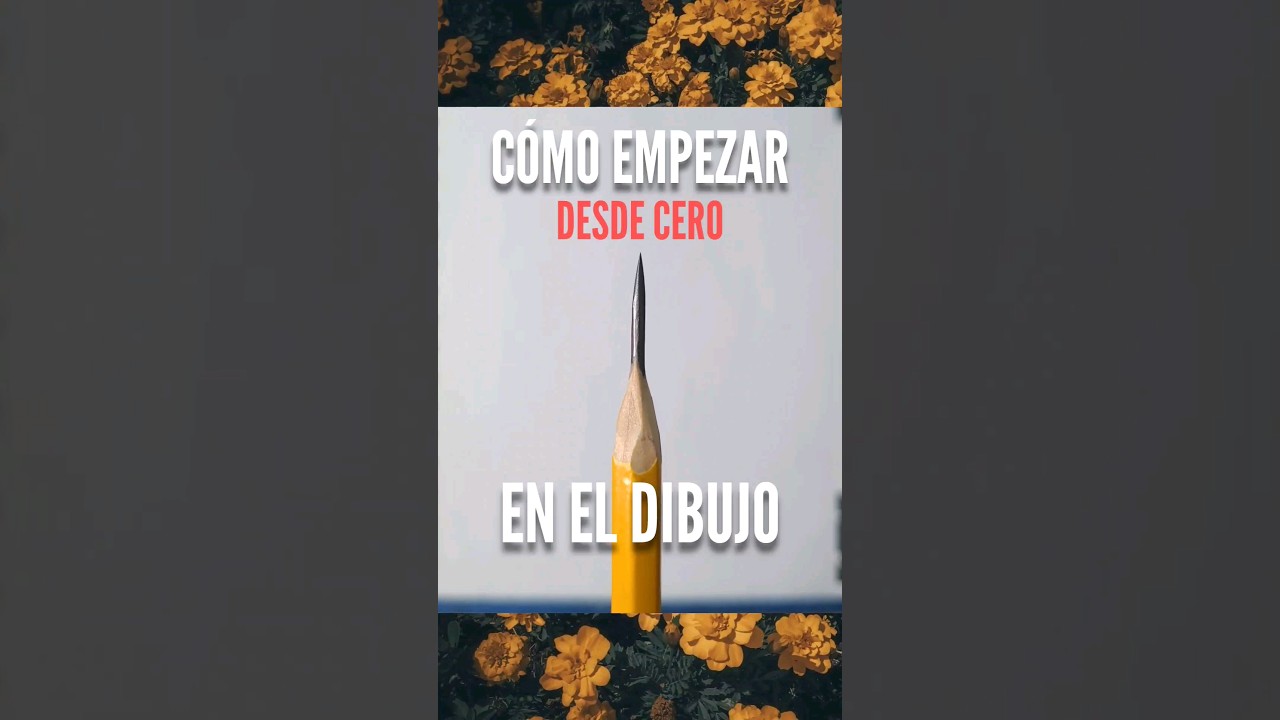 Guía para empezar a dibujar desde cero ✏️