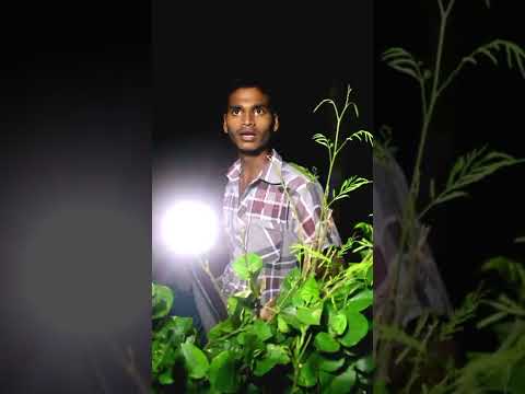 Aahat - आहट-Kun Hai - episode ||আহট নতুন পর্ব বাংলা আহট সনি আট aahat bangla New neo ahat 2022#aahat