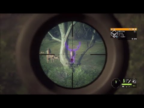 Tru Rack Axis Deer Trophies & More 🦌