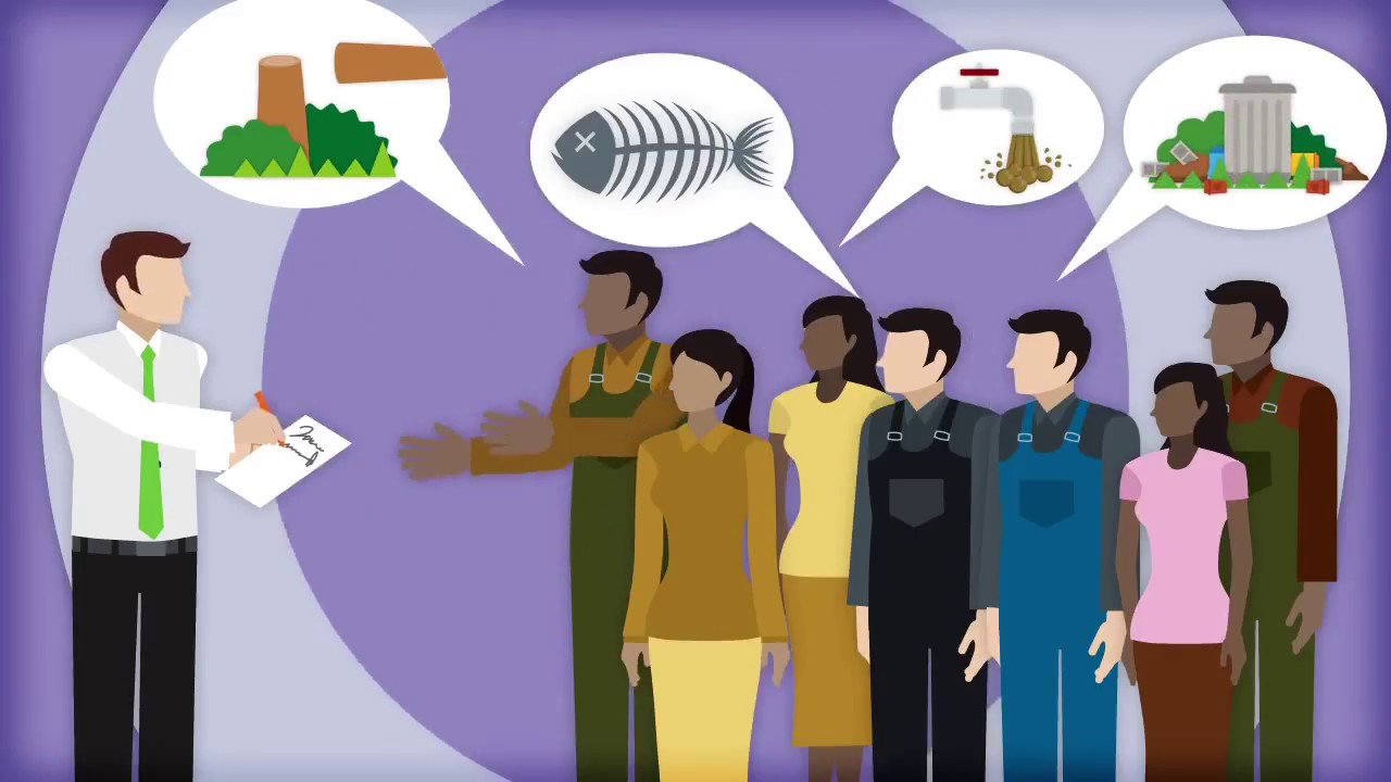 Environmental Impact Assessments: Key Issues from the Start