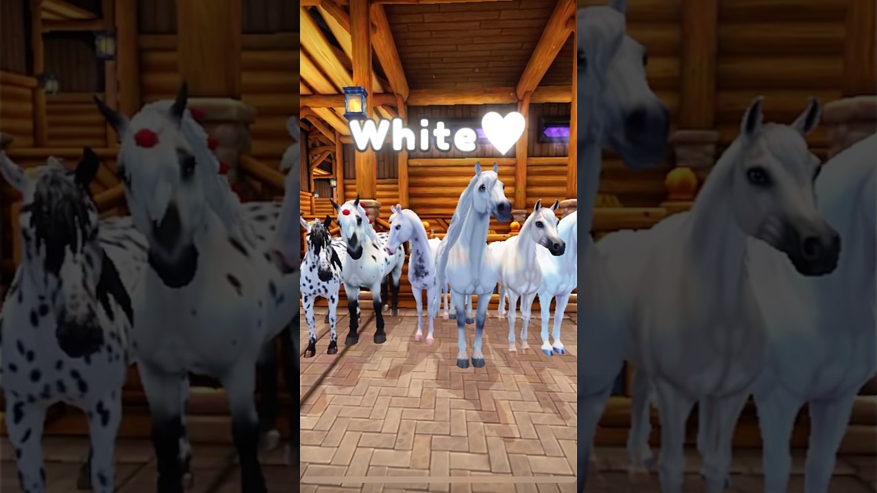 All My Star Stable Horses 🐴 | SSO Edit