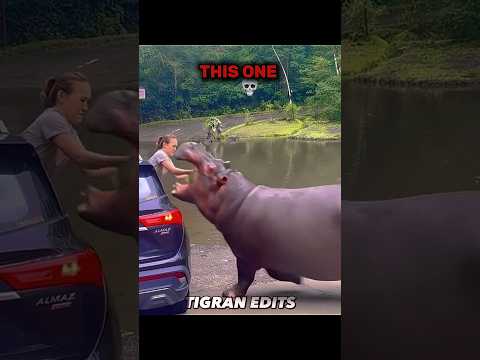 Moment before diaster #subscribe