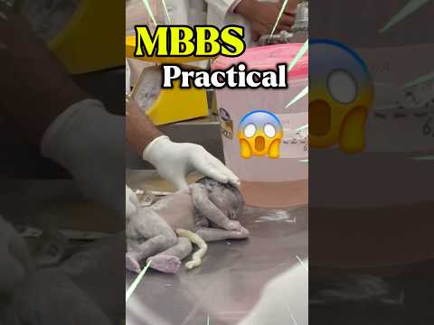 Reality of AIIMS Life😱| AIIMS Mini vlog #neetmotivation #neet2026 #aiims #mbbs