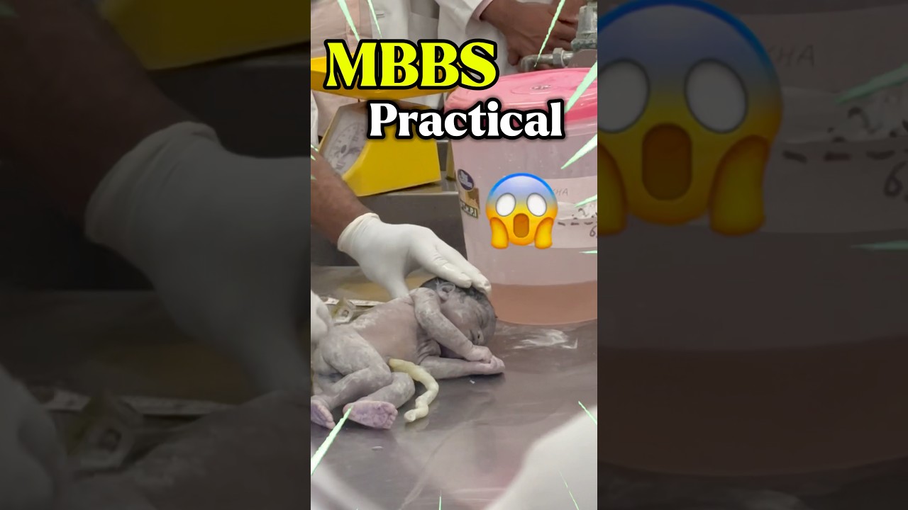 Inside the Life at AIIMS: What You Need to Know! 🏥