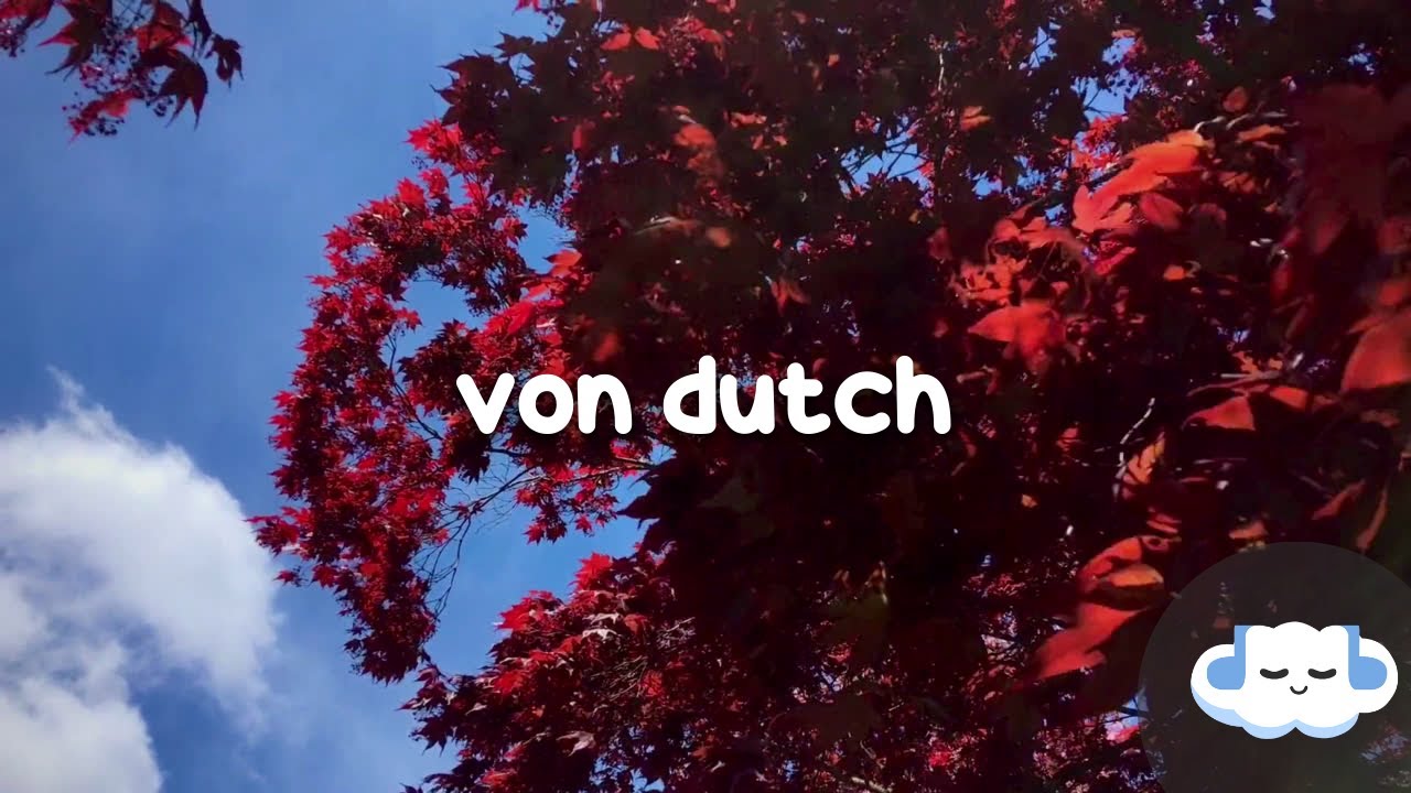 Charli XCX - Von Dutch (Clean Lyrics) π§