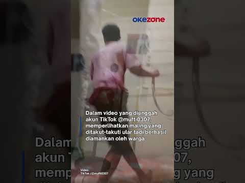 Viral! Maling Apes di Aceh Dikurung dan Ditakuti Ular Hingga Tersungkur #maling #histeris #aceh #fyp