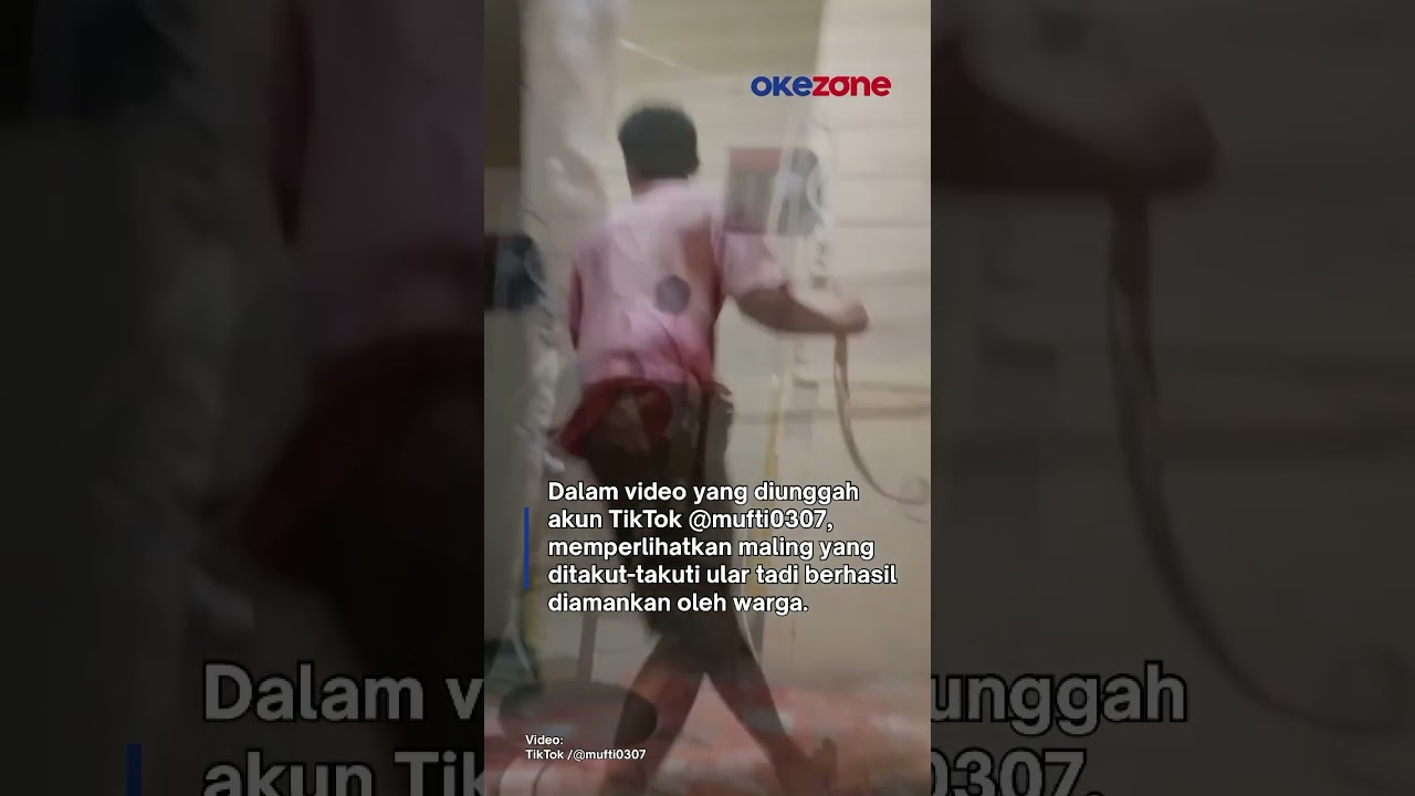 Viral! Maling Apes di Aceh Dikurung dan Takut Ular Hingga Tersungkur