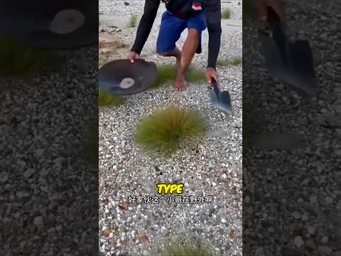 Never Leave This Grass Alone