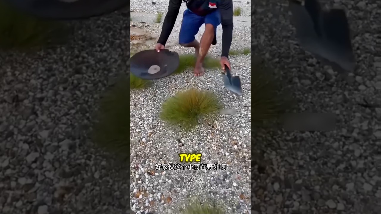 Discover the Hidden Money-Making Secret in Hilly Grasslands 💸