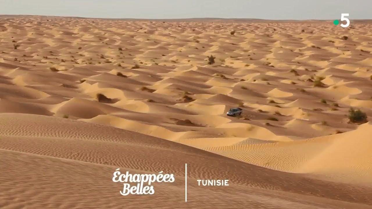 Découvrez la Tunisie : le joyau ensoleillé de la Méditerranée ☀️