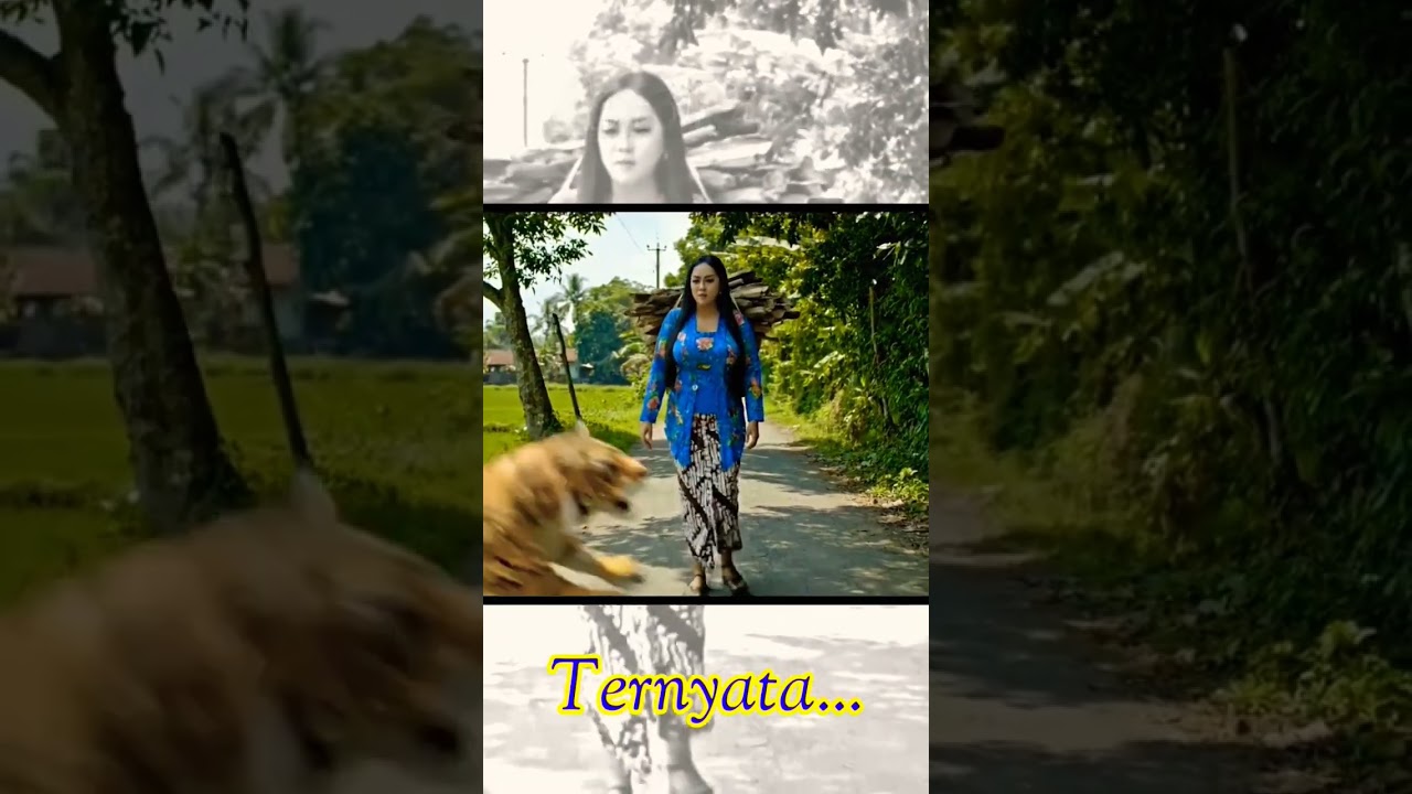 Video Lucu: Wanita Cantik dan Kelakuan Konyol yang Bikin Ngakak 😂