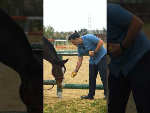 Atlar alma yemÉyi sevir #Atlan