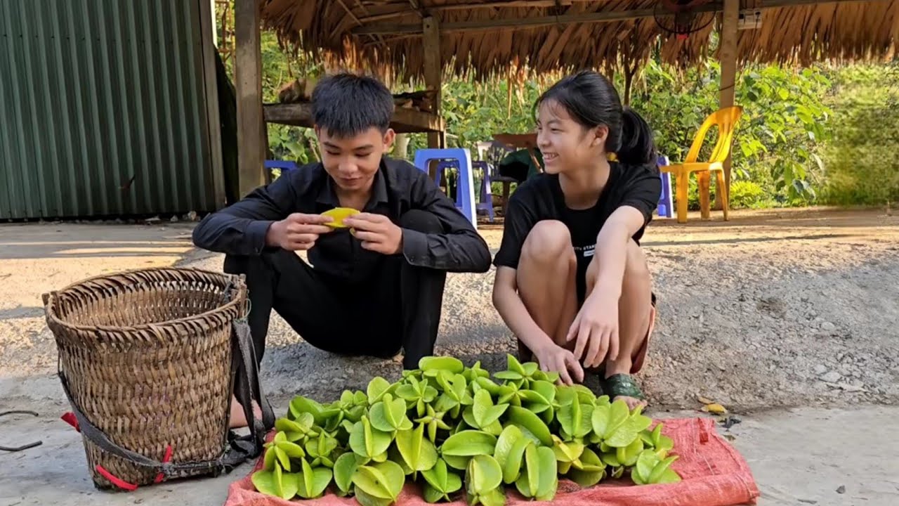 Homeless Boy & Poor Girl Sell Starfruit to Buy New Ones π