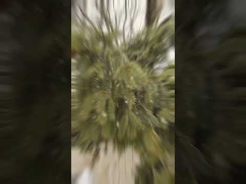 #shorts #грусть #мелодиядуши