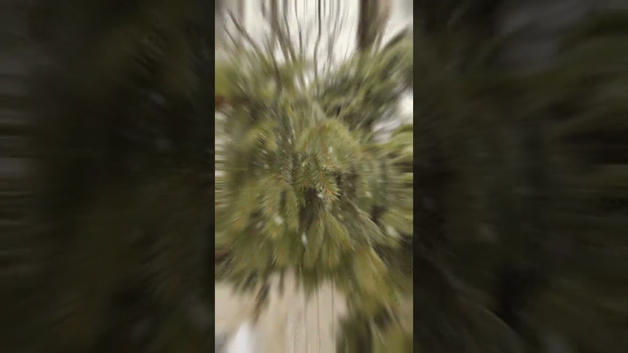 Мелодия грусти 🎶