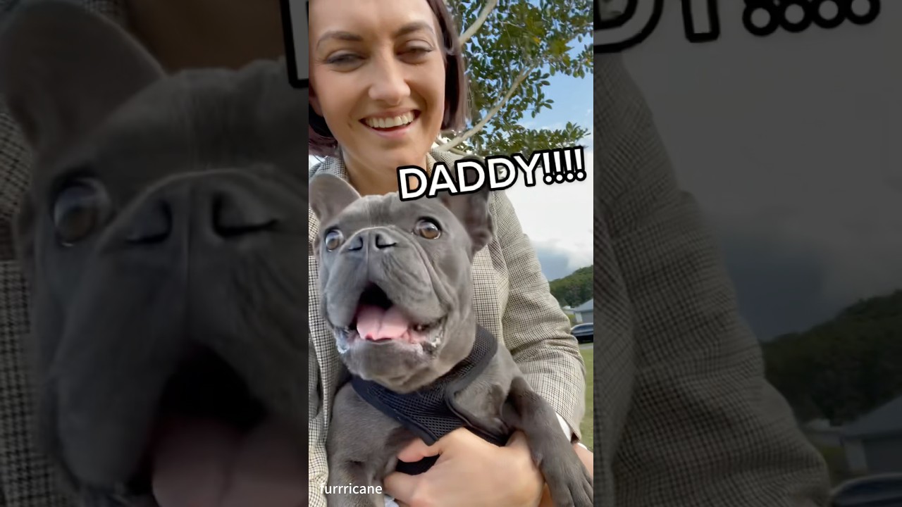 Unique Bark of a French Bulldog ๐ถ