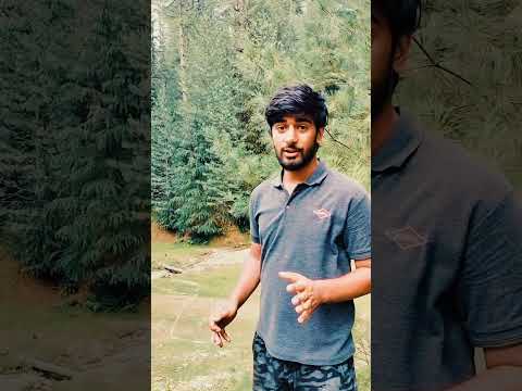 Where words fail, nature speaks... 🌿🎬 #CinematicVibes.                #NatureLovers#CinematicNature