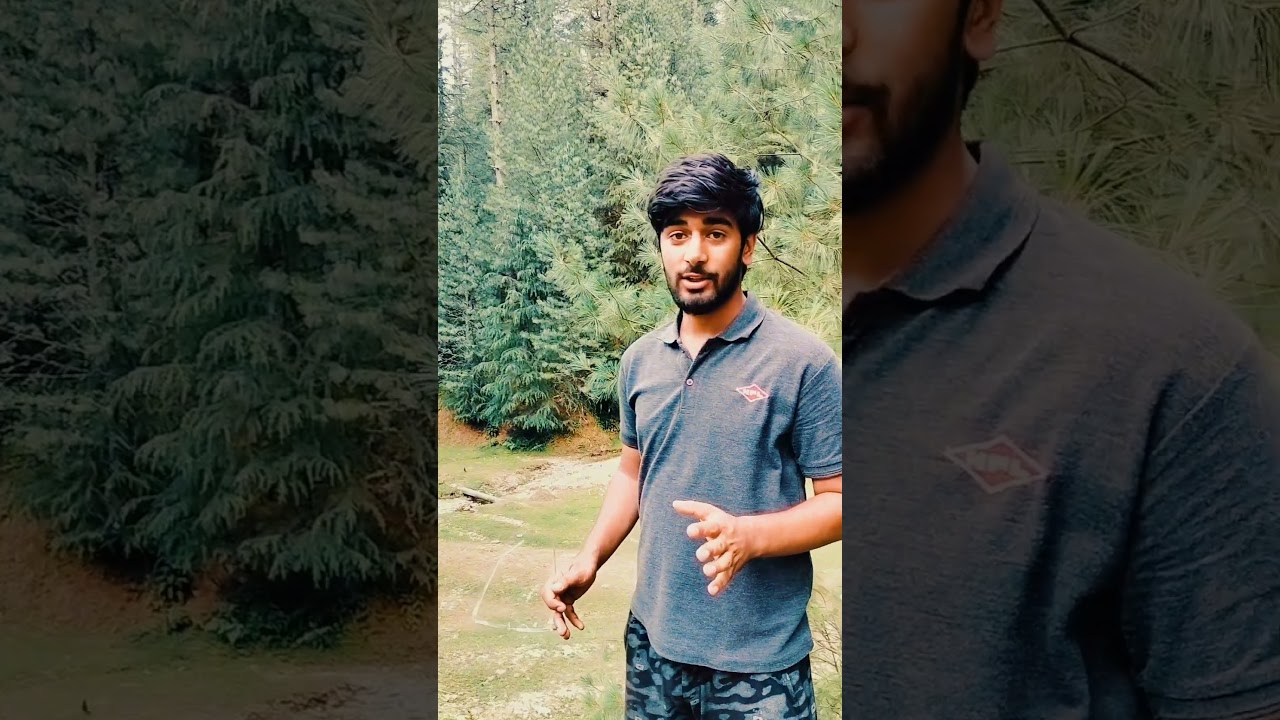 Discover the Power of Nature Through Stunning Cinematic Footage 🌿