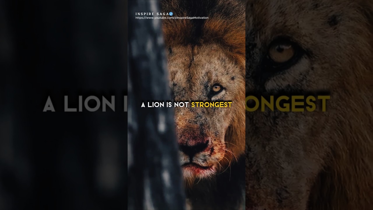 Why the Lion is King π¦ | Sigma Motivation