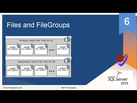 Storage Management in MS SQL 2019 |Storage Management in MS SQL 2019