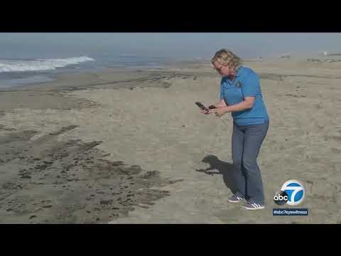 Oil Spill Fouls California Beaches 🌊