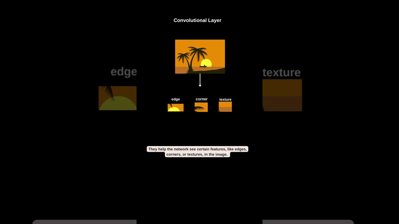 Understanding the Convolutional Layer in CNNs